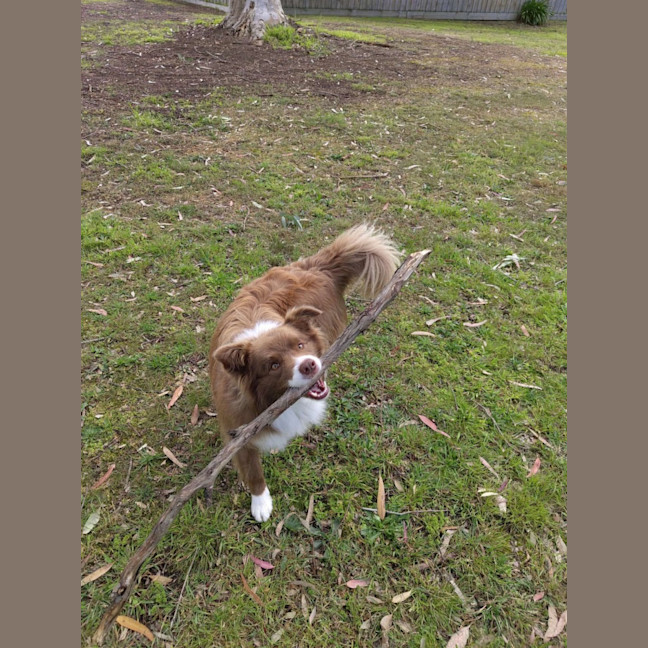 Photo of Mars Bar Slice