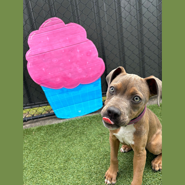 Photo of Storm