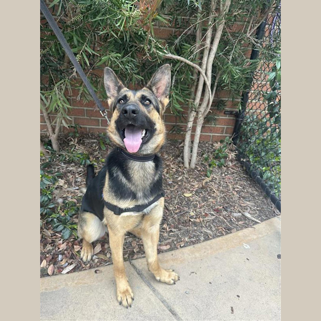 Photo of Trudy