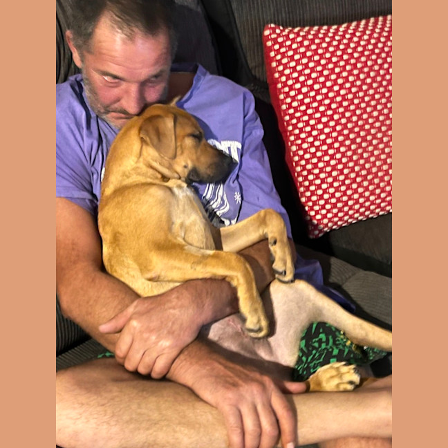 Photo of Josie   4 Month Old Mixed Breed