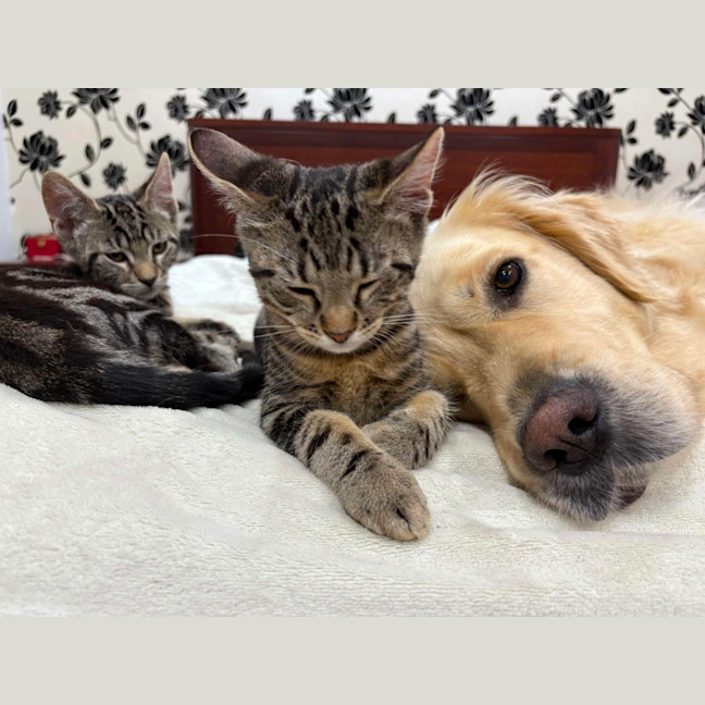 Photo of Peter & Griffin 