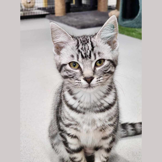 Photo of 🍰 Jam 5775 🍰