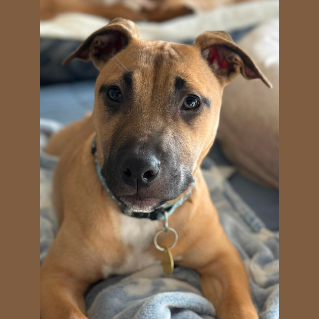 Photo of Sassypants
