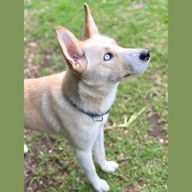 Photo of Sugar