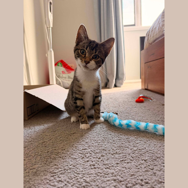 Photo of Theo