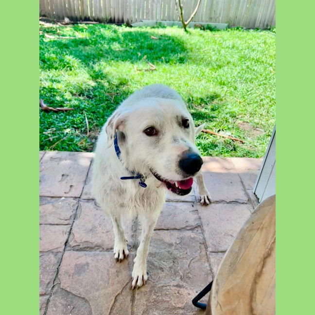 Photo of Betty 