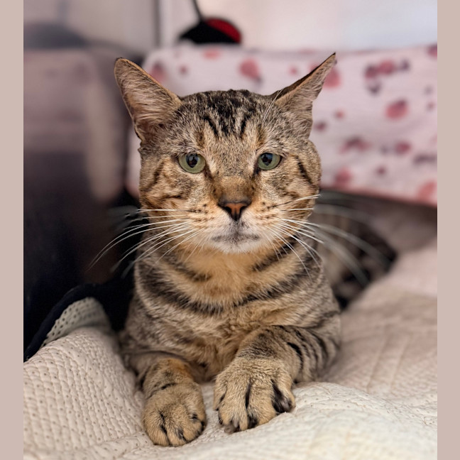 Photo of Bruce Wayne