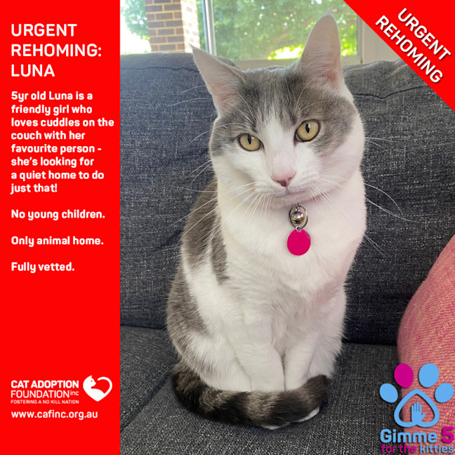 Photo of Luna