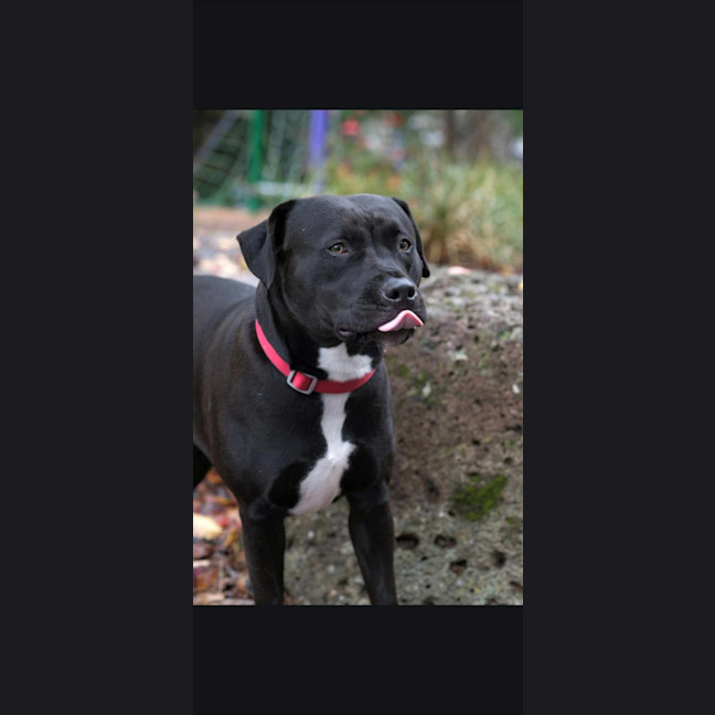 Photo of Sage