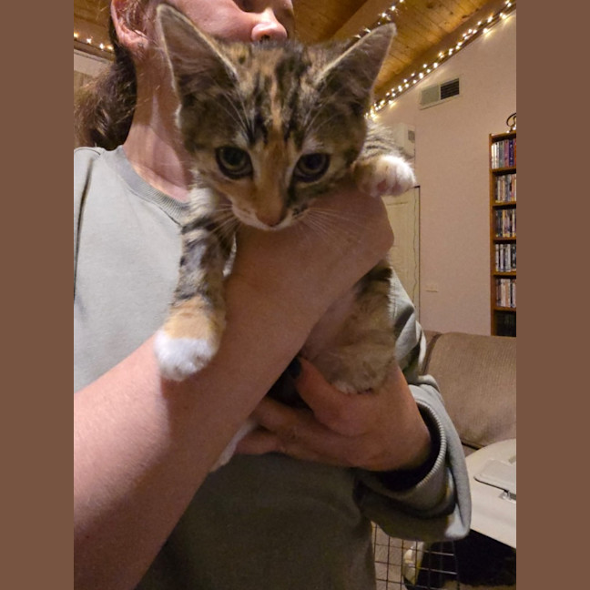 Photo of Enid Addams