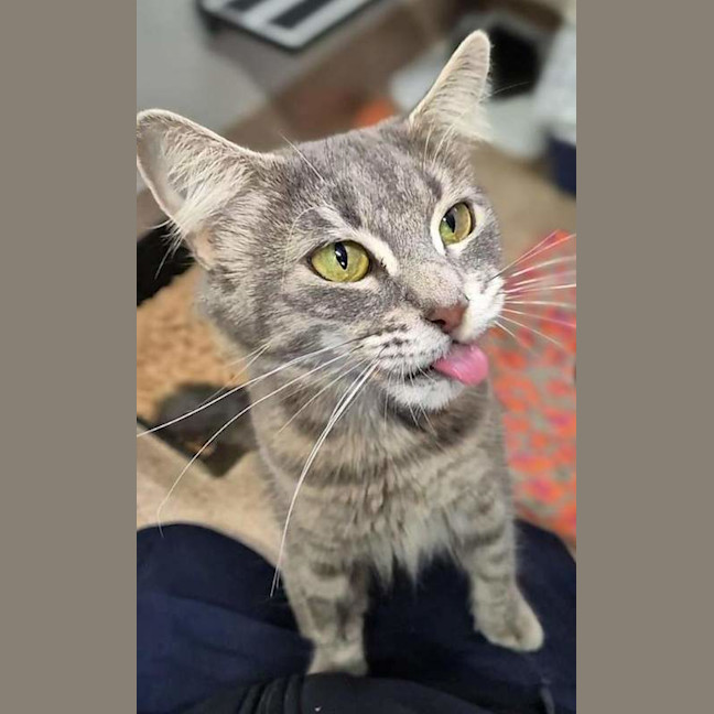 Photo of Momo