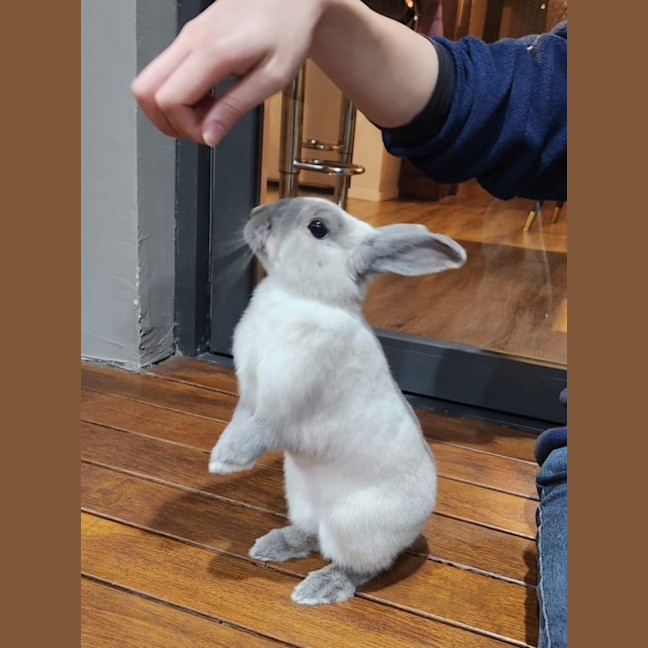 Photo of Billie Vacher