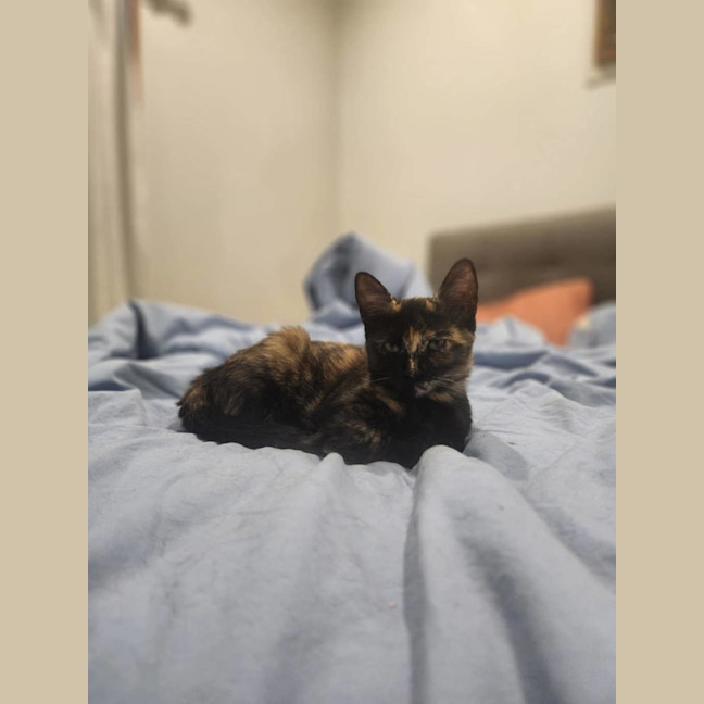 Photo of Milo Mudcake