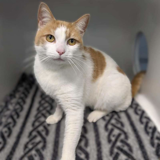 Photo of Mischief