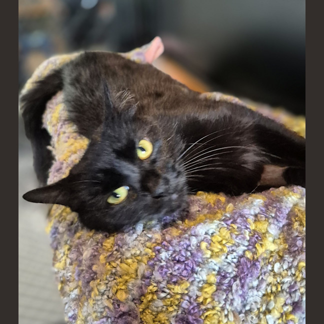 Photo of Marceline