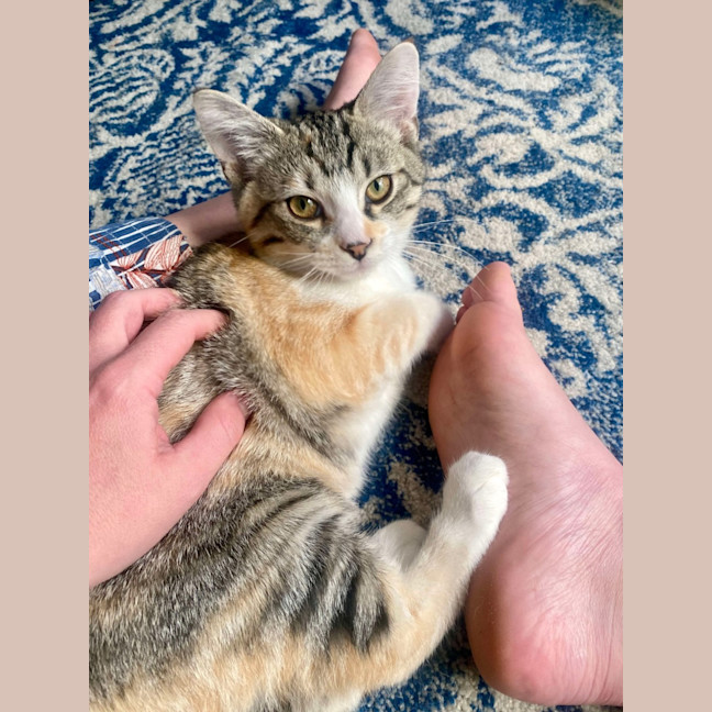 Photo of Elsie & Bee 