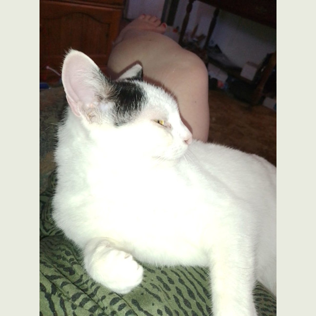Photo of Lucky