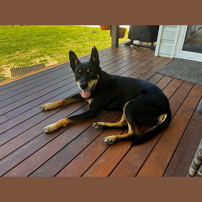 Photo of Bud