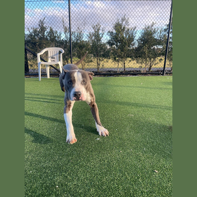 Photo of Jax Imp 1405