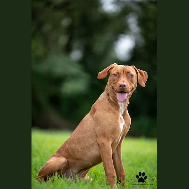 Photo of Sally