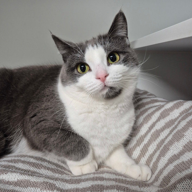 Photo of Maggie