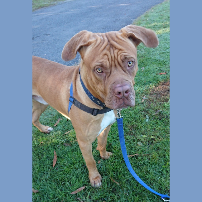 Photo of Zeke