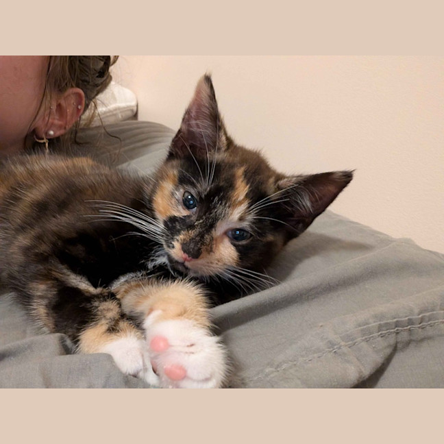 Photo of Ember