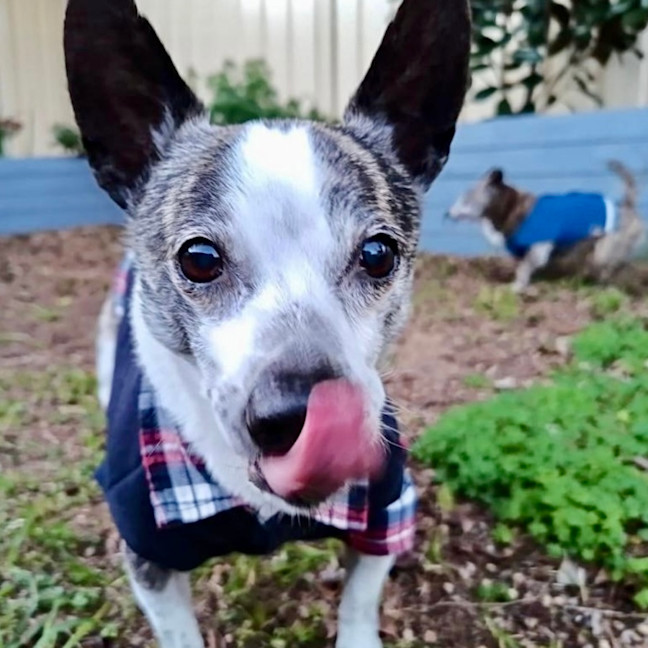 Photo of Sunny And Pj 