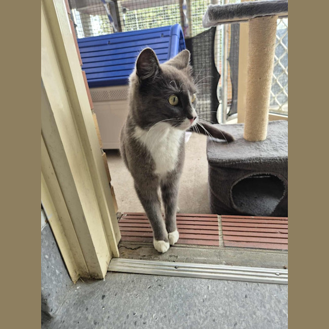 Photo of Mary! 🕊️