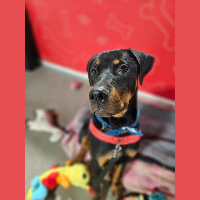 Photo of Murphy