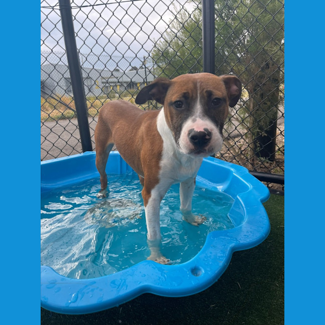 Photo of Zeke Imp 1305