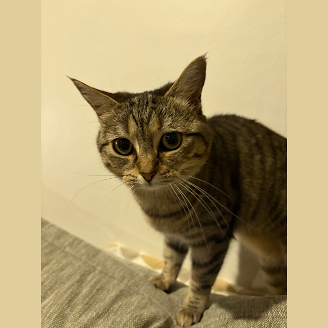 Photo of Charlie