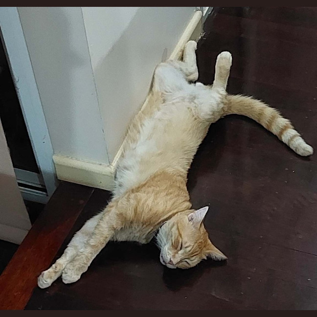 Photo of Jasper