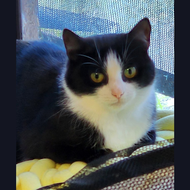 Photo of Emmie