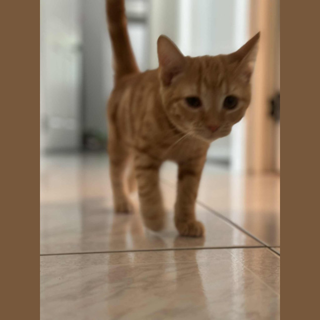 Photo of Rupert