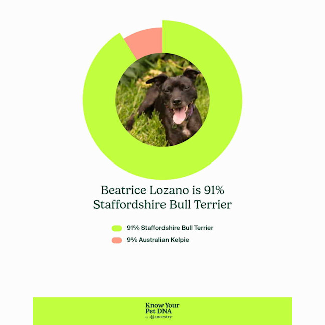 Photo of Beatrice Lozano