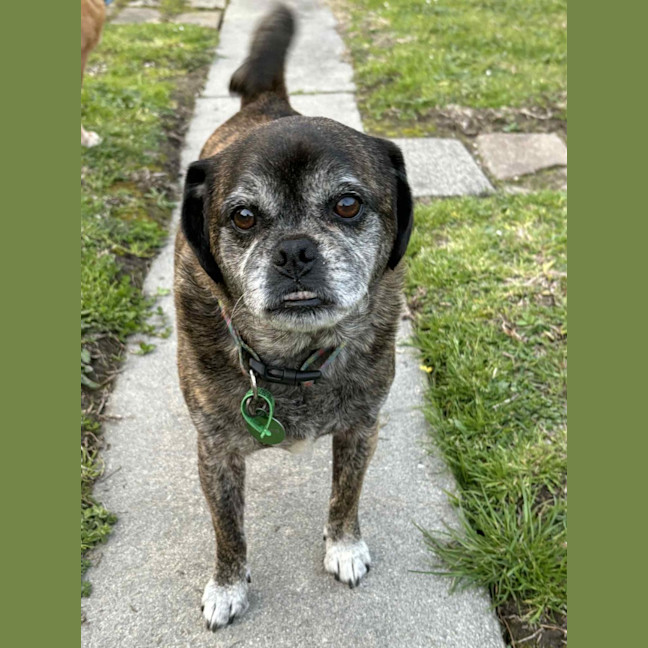 Photo of Covah And Teddy