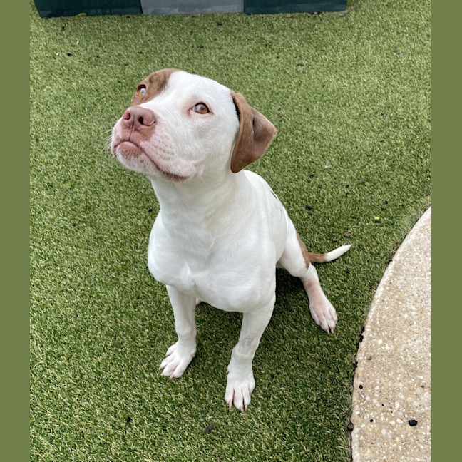 Photo of Maggie