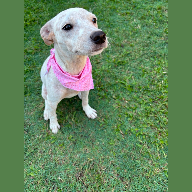 Photo of Lily