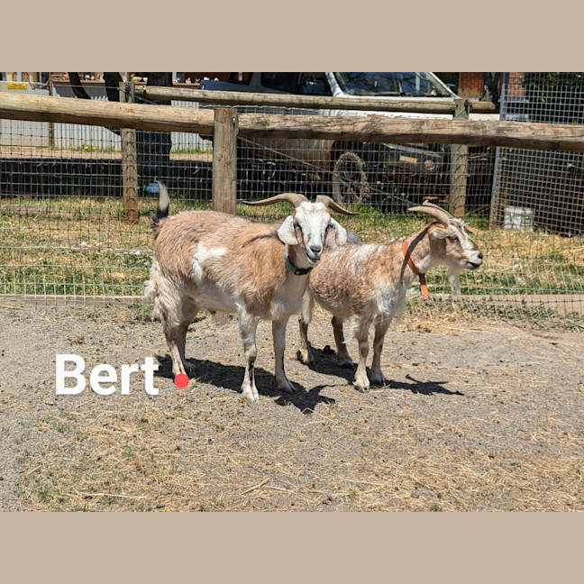 Photo of Burt