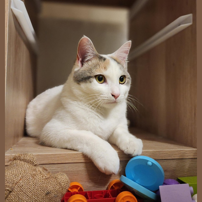 Photo of Bonnie   Located In Avondale Heights