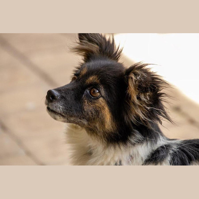 Photo of Betsy Moriarty