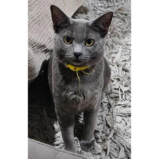 Photo of 12191   Luigi