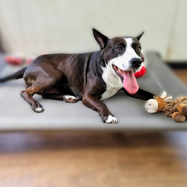 Photo of Maggie