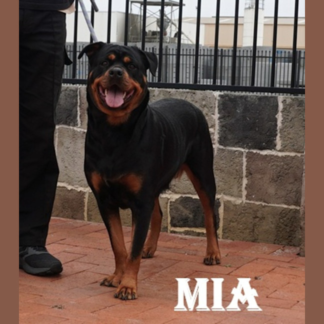 Photo of Mia