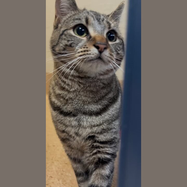 Photo of Penny