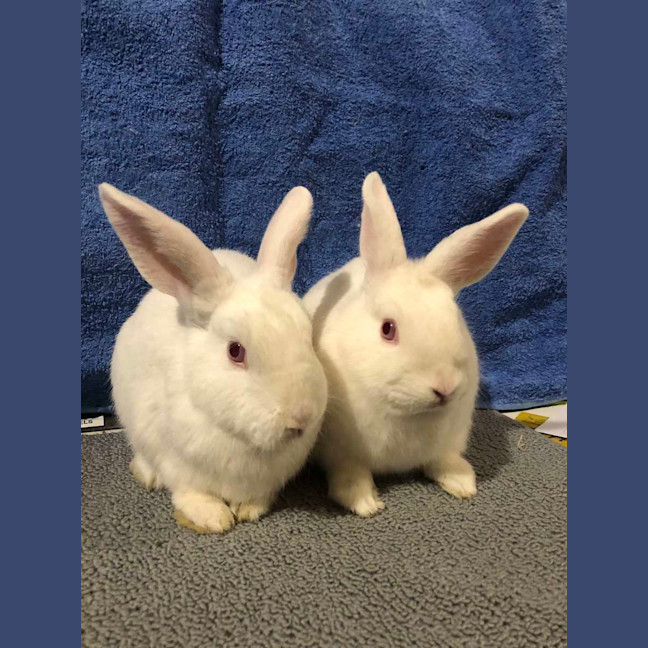 Photo of Alaska & Kenny