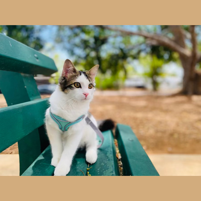 Photo of Nori & Nina