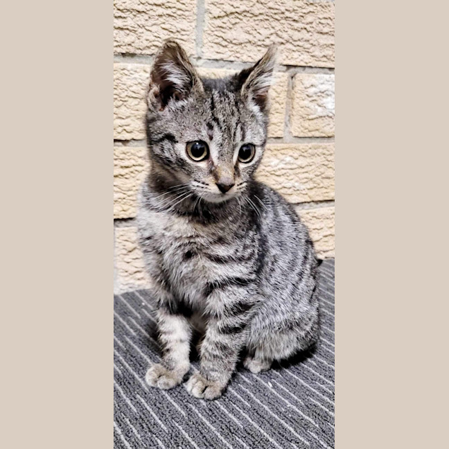 Photo of Monty