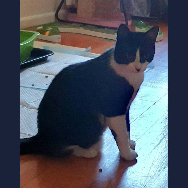 Photo of Miguel / Sarah